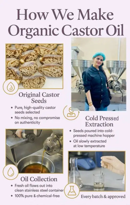 Organic cold pressed castor oil extraction by Champi Oil
