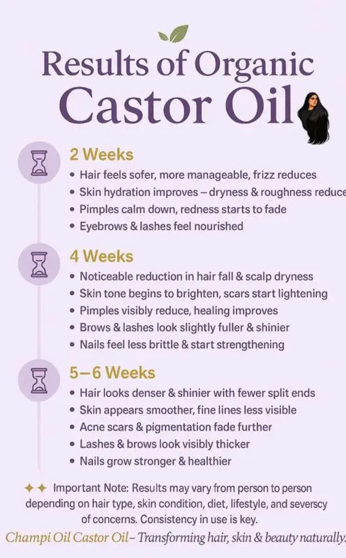 Expected results timeline for Champi Oil Organic Castor Oil