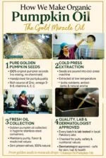 Champi Oil’s 4-step cold press extraction process for organic pumpkin oil.