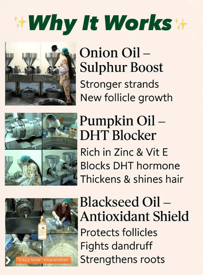 Pure onion, pumpkin, and blackseed oils for Extreme Hairfall Treatment by Champi Oil.